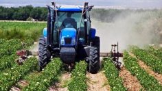 ΑΓΡΟΤΙΚΗ_ΚΑλΛΙΕΡΓΕΙΑ_ILOVEPATRIDA