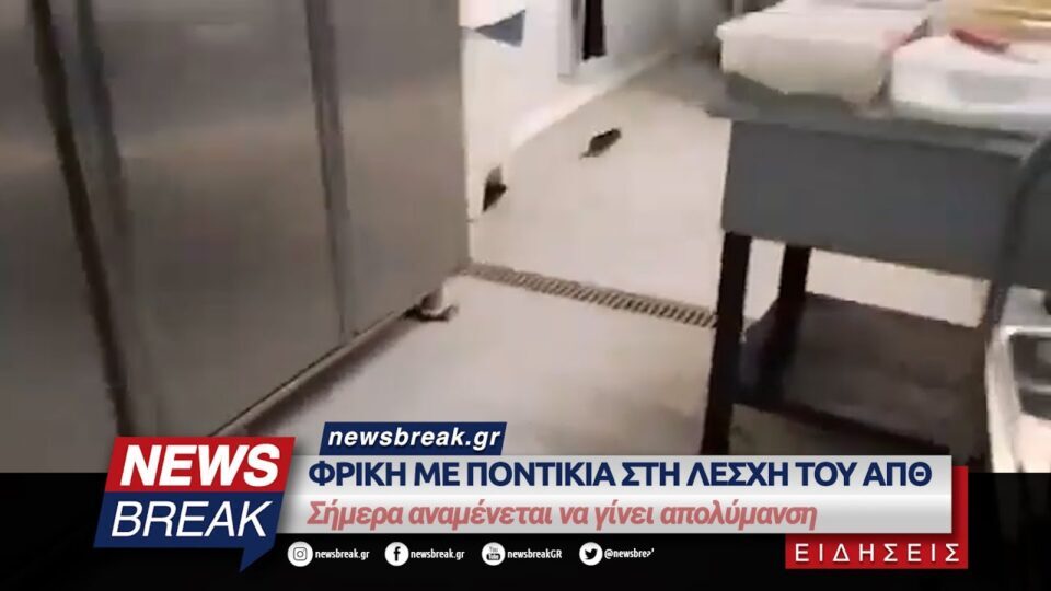 «Βόλτες» μέσα στην κουζίνα της Λέσχης του Αριστοτέλειου Πανεπιστημίου Θεσσαλονίκης έκανε ένα ποντίκι