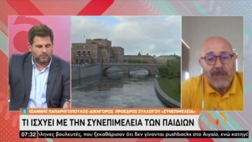 Σκανδιναβές παντρεύονται Έλληνες και εξαφανίζονται στις χώρες τους με τα παιδιά | 16/06/2022 | ΕΡΤ