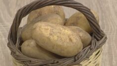 Πατάτα_Νάξου_ILOVEPATRIDA