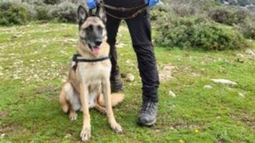 αστυνομικος_σκυλος_ilovepatrida