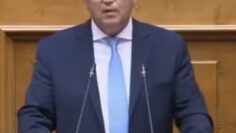 Δημήτριος Νατσιός Πρόεδρος ΝΙΚΗ