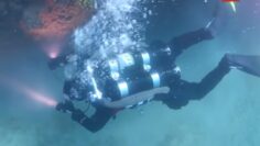 ΔΥΤΗΣ ΚΑΥΑΔΥΣΗ ΥΠΟΒΡΥΧΙΟ