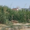 ακαθάριστα οικόπεδα