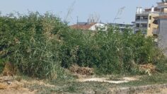 ακαθάριστα οικόπεδα