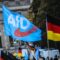 AfD α φ ντε γερμανια ακροδεξια