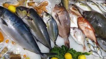 ΨΑΡΙΑ_ΙΧΘΥΟΤΡΟΦΕΙΟ_ilovepatrida