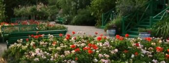 ΚΗΠΟΣ_ΜΠΑΛΚΟΝΙ_ΕΞΟΧΗ_ilovepatrida