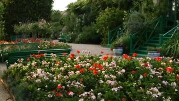 ΚΗΠΟΣ_ΜΠΑΛΚΟΝΙ_ΕΞΟΧΗ_ilovepatrida