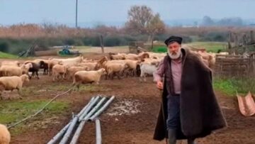 ΚΤΗΝΟΤΡΟΦΟΣ_ilovepatrida