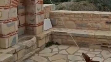 ΣΚΥΛΑΚΙ_ΚΑΜΠΑΝΑ_ilovepatrida