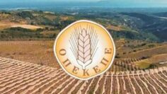 ΟΠΕΚΕΠΕ_ilovepatrida