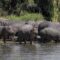 ιπποπόταμους_ilovepatrida