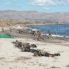 ΕΛΛΑΔΑ_ΙΣΡΑΗΛ_ΣΤΡΑΤΙΩΤΙΚΗ_ΑΣΚΗΣΗ_ΜΕΔΟΥΣΑ_ilovepatrida